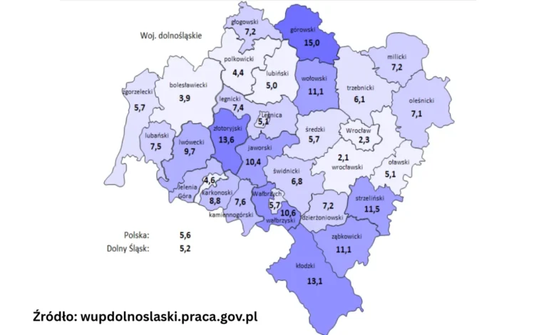 Publikacja raportu „Informacja o sytuacji na rynku pracy – styczeń 2025”