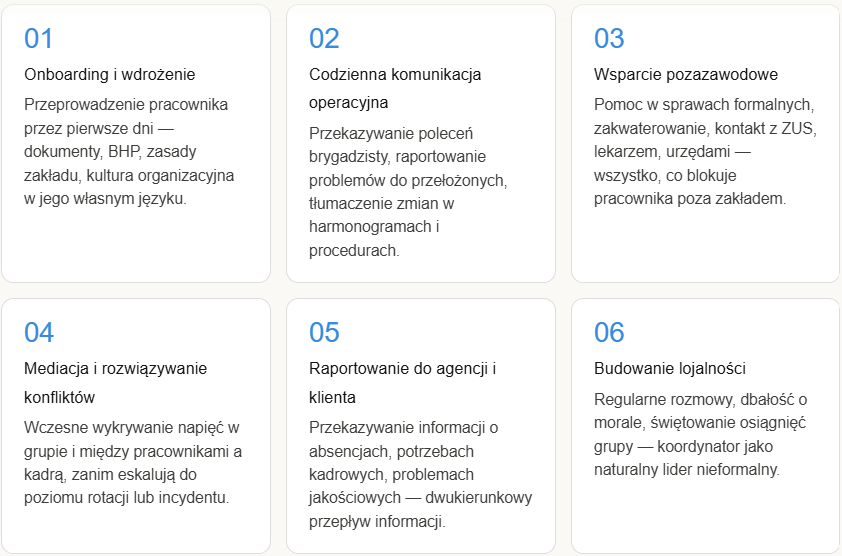 Zakres obowiązków koordynatora pracowników zagranicznych - infografika