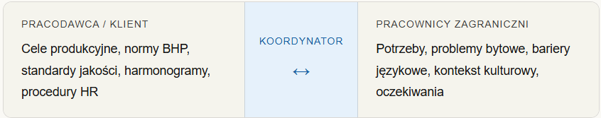 Rola koordynatora pracowników - infografika